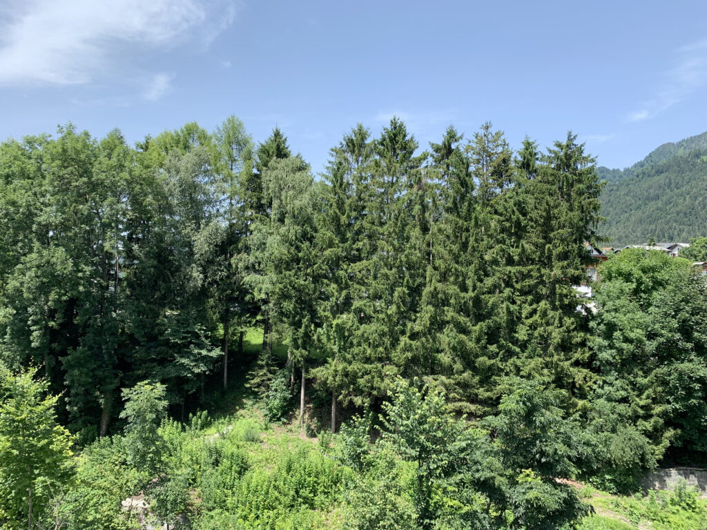 Aussicht gerade