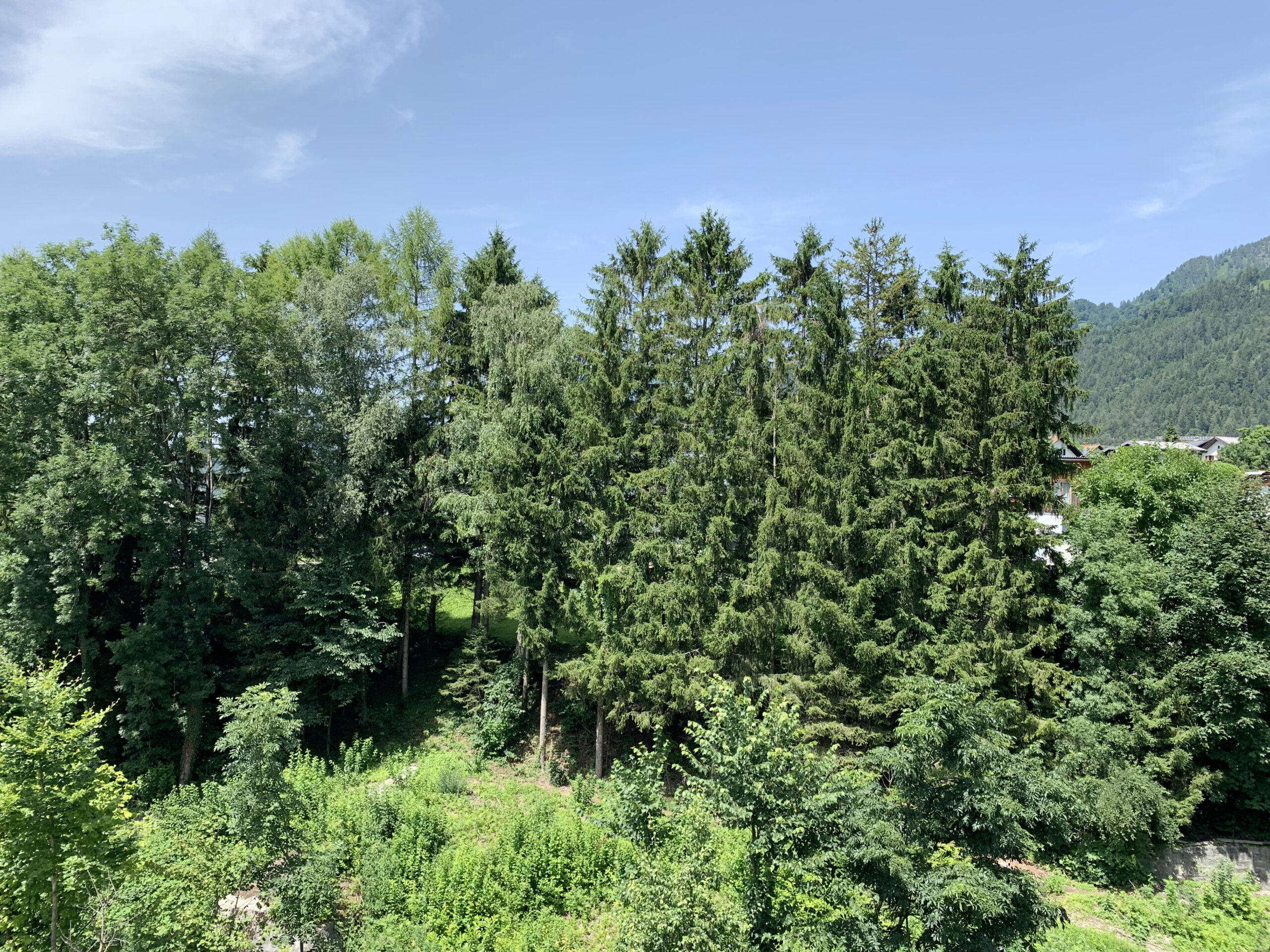 Aussicht gerade